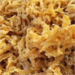 Raw Wild Sea Moss, 1 pound